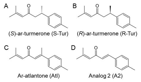 Aromatic Turmerone And Analogu Image Eurekalert Science News Releases