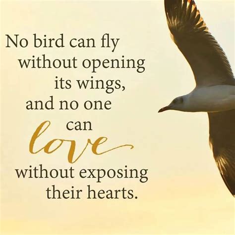 Beautiful Quotes About Birds Quote Cc