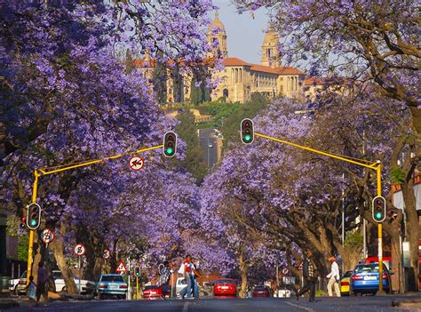 10 Things To Learn About The Capital Of South Africa