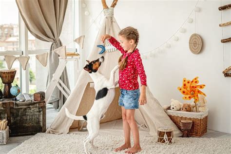 How To Teach Kids To Train A Dog Verbnow