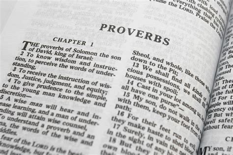 What The Book Of Proverbs Has To Say About The Current Age