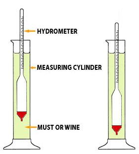 How To Use A Hydrometer In Winemaking Wines And Winemaking Com