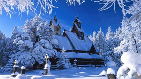 Snow Covered House Trees With Sunlight Under Blue Sky Hd Winter