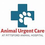 Pictures of Pittsford Animal Hospital Urgent Care