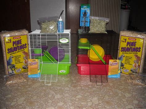Baby Teddy Bear Hamsters Cages To