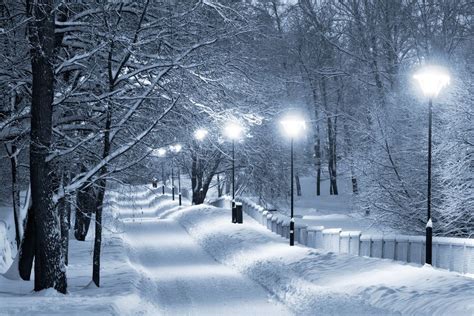 Snowy Walkway By Antti Pulkkinen 500px Winter Scenery Winter