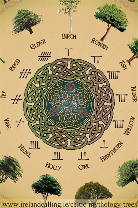 Trees In Celtic Mythology Trees Were Hugely Significant To The Ancient
