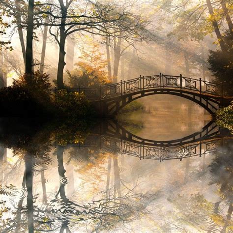 Autumn Old Bridge In Autumn Misty Park Vinyl Wall Mural Landscape