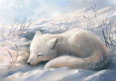 Arctic Fox An Art Print By Ludvik Skp Inprnt Cute Animal Drawings