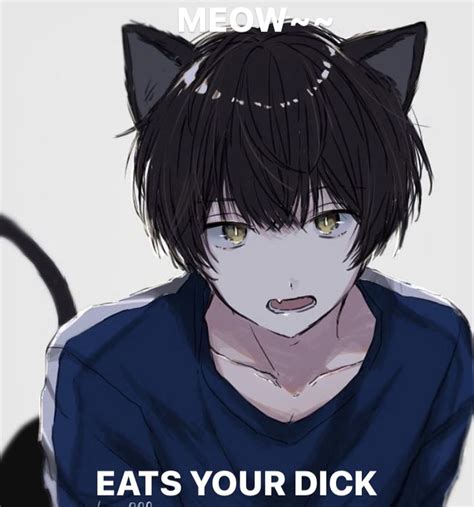 Pin By Laura On Memes Anime Cat Boy Anime Drawings Boy Cat Boys Anime