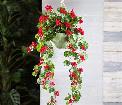 Populer 38+ Taman Bunga Gantung