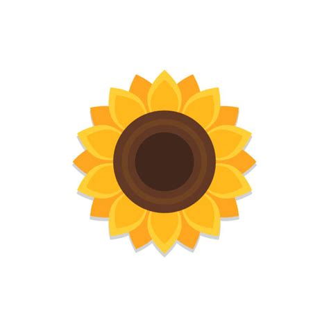 Orange Sunflower Illustrations Royalty Free Vector Graphics And Clip Art