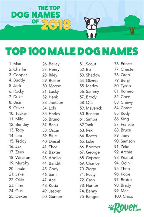 The Top 100 Male Dog And Puppy Names Of 2018 | Dog names, Female dog names, Puppy names