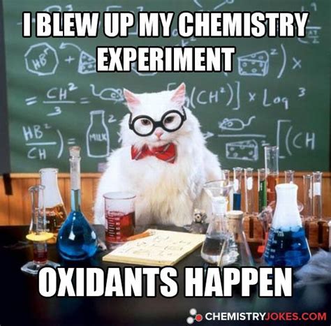 I Blew Up My Chemistry Experiment Chemistry Humor Chemistry Cat