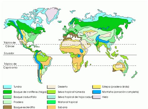 regiones naturales del mundo qué son cuáles son tipos y características ecología hoy