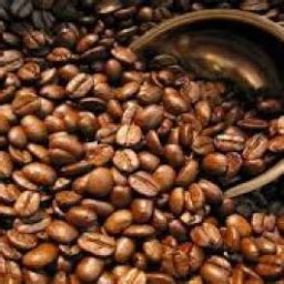 pabrik kopi robusta malang