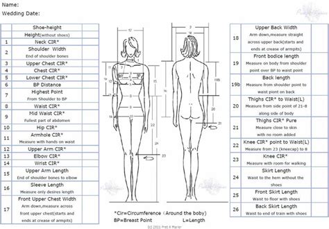 Standard Body Measurement Chart