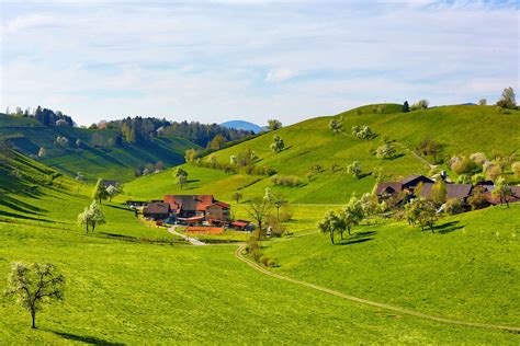 A Lush Green Hillside Covered In Lots Of Trees And Houses On Its Sides