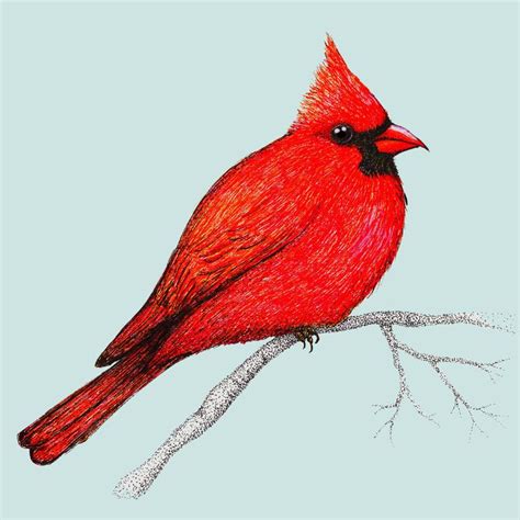 A Drawing Of A Red Bird Sitting On A Branch With Leaves In The Foreground