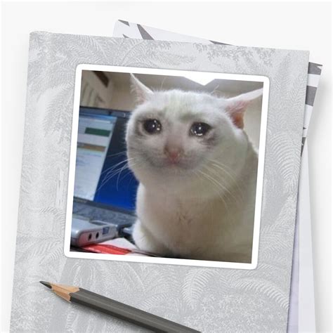Crying Cat 1080x1080 Crying Cat Meme With Hearts Meme Creation