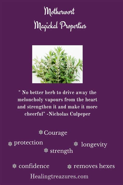 Herb Magick The Magickal Benefits Of Motherwort Herbal Magic Magick Longevity Benefit