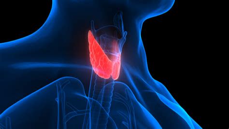 Medullary Thyroid Cancer Epidemiology Rare Disease Advisor