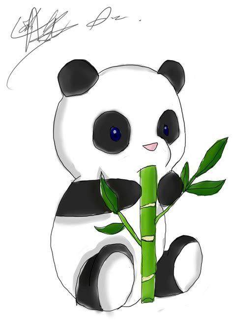 Anime Kawaii Chibi Cute Panda Kashmittourpackage