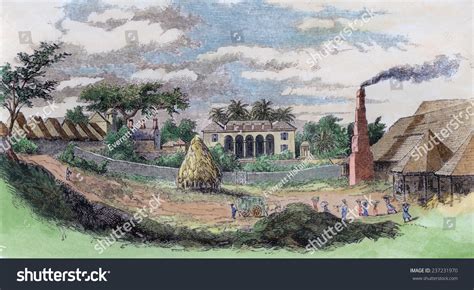 1449 Caribbean Sugar Plantation Images Stock Photos And Vectors