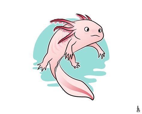 Easy Kawaii Cute Axolotl Drawing Axolotl Ajolote Dibujo Tatuajes Images