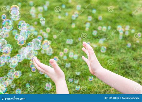 Kids Hands Catching Bubbles With Fresh Green Grass At A Background