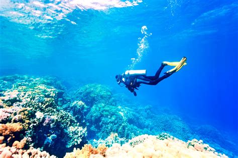Scuba Diving Bali Experience Bali With The Best Tour Packages From