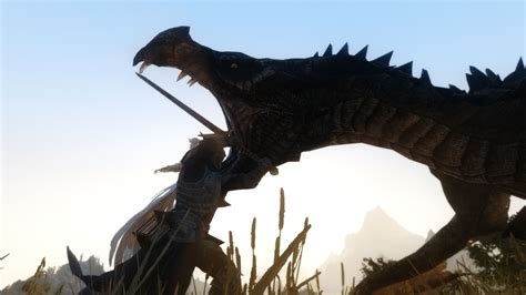 Dragonborn Vs Dragon At Skyrim Nexus Mods And Community