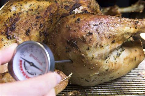 A Roast Turkey So Easy A Turkey Could Do It Thanksgiving Cooking
