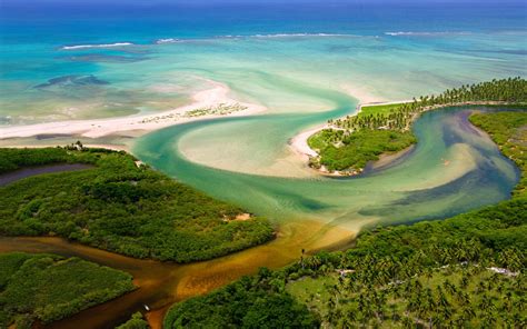 forest river jungles brazil aerial view estuaries beach sea nature landscape wallpapers