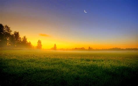 Free Photo Grass Field And Trees During Sunset Beautiful Light Sunset Free Download Jooinn
