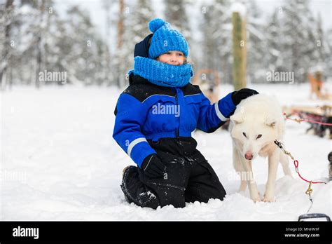 Adorable Little Girl Having A Cuddle With Husky Sled Dog In Lapland