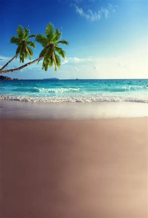 Laeacco Photographic Backgrounds Tropical Sea Beach Palm Tree Blue Sky