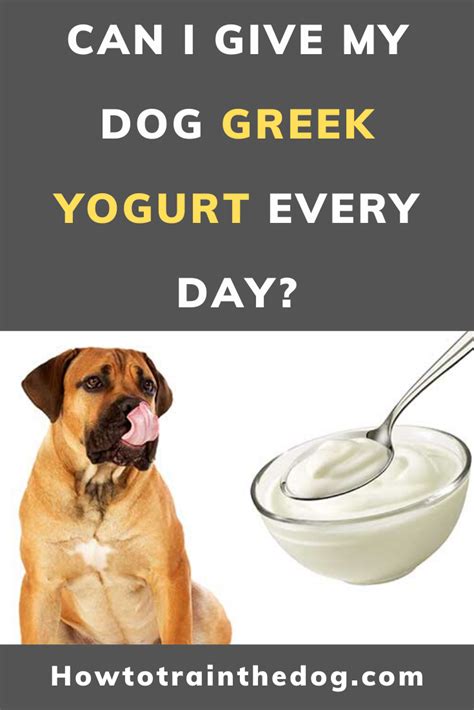 Maybe you would like to learn more about one of these? Can Dogs Eat Greek Yogurt? What Do Experts Think? | How To ...