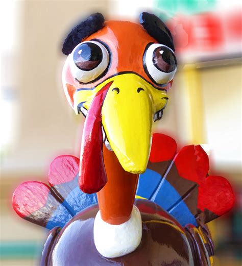 Smiling Thanksgiving Turkey Free Stock Photo Public Domain Pictures