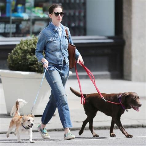 Oscar Winning Star Anne Hathaway Has Two Dogs