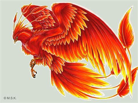 Phoenix Clipart Harry Potter Phoenix Phoenix Harry Potter Phoenix Images And Photos Finder