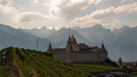 Aigle Alps Castle Mountain Switzerland Vineyard Hd Travel Wallpapers