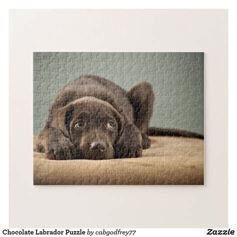 Chocolate Labrador Puzzle Dog Jigsaw Puzzles Chocolate Labrador Dog