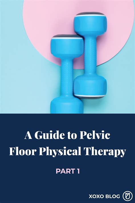 A Guide To Pelvic Floor Physical Therapy Part 1 What Is Pelvic Floor