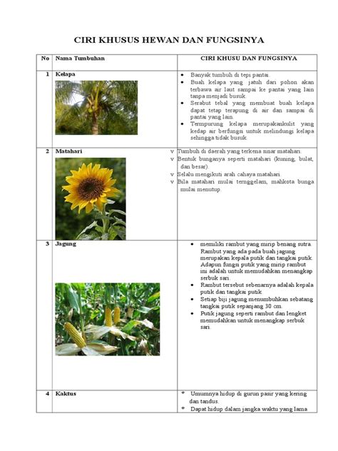 15+ Nama Hewan Dan Tumbuhan Habitat Manfaat Bagi Manusia Nya, Paling Trend!