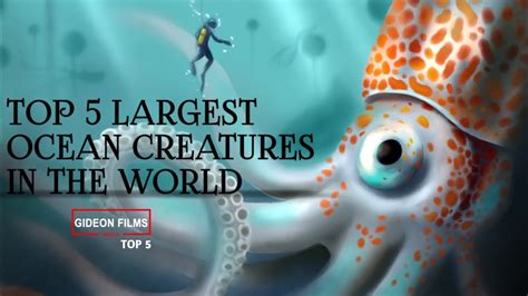 Top 5 Largest Ocean Creatures In The World Youtube