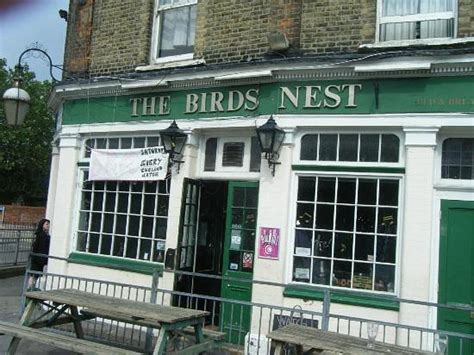 The Birds Nest Londres Inglaterra 14 Fotos Comparação De Preços E