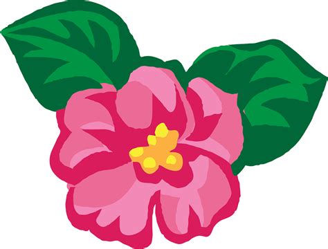 Flower Spring Pink Free Vector Graphic On Pixabay