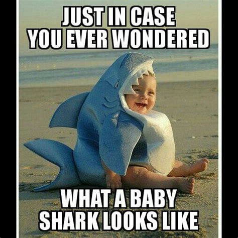 Baby Shark Cute Tho 9gag
