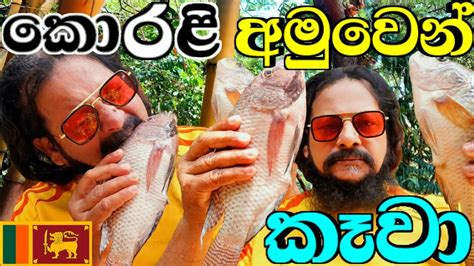 අමුවෙන් කොරළි මාළු කෑවා Raw Fish Eating First Time In Sri Lanka ශ්